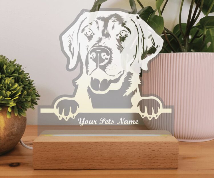 Labrador LED Lightbox (Copy)